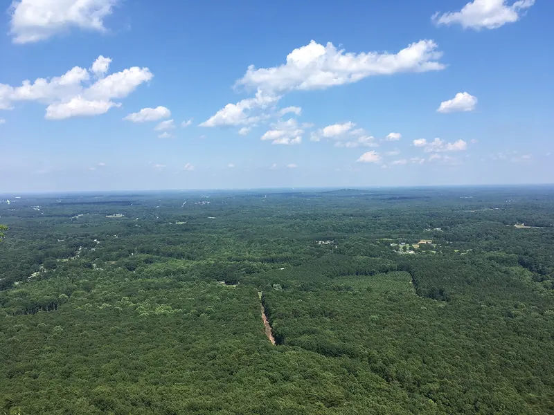 Forest stretching to the horizon, seen from the top of Crowders Mountain